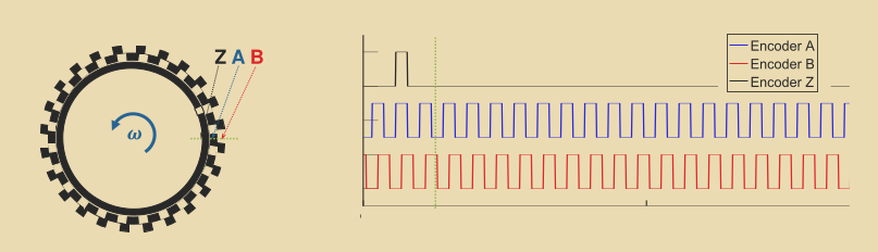 An incremental shaft encoder has a pulse Z which gives speed and outputs A and B can be used to detect the direction of rotation as the pulses are phase shited by a quarter cycle.